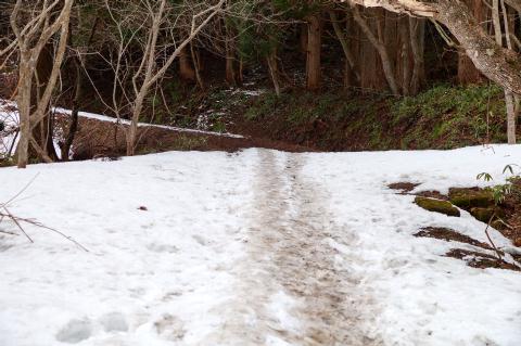 雪の残る登山道